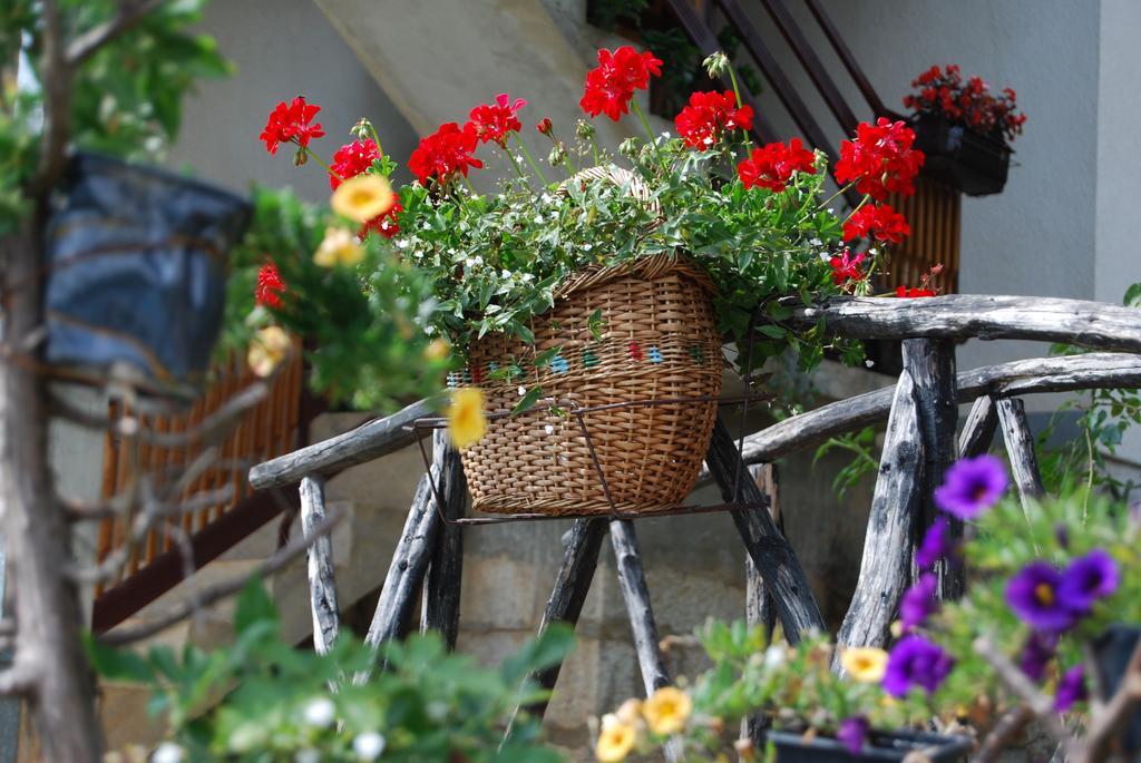 Seoski Turizam Melovic Rozanstvo エクステリア 写真